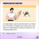 마평농장 경기도뉴스