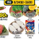 신교하