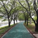 국토종주자전거길1-160 이미지