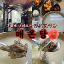 수원 인계동 전통과 정성으로 끓여내는 또간집 곰탕 맛집, 매온당 내돈내산 강추후기