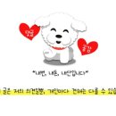 하성설렁탕 이미지