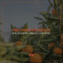 (주)제주제일렌터카 이미지