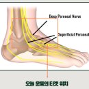 새움3로(서) 이미지