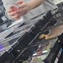 세븐디가든 | 크레스티드게코 파충류 전문샵 청주 세븐디가든 방문 후기