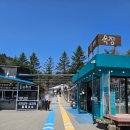 구도목장 | 강원도 평창 백두대간 선자령 등산코스(목장코스) 대관령숲길로 하산 (20260425)