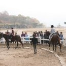 수락초등학교 이미지