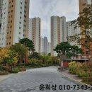 신수로683번길 이미지