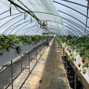 군남농장 이미지