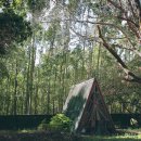 헬씨라이프 이미지