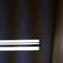 엄창수신경외과의원 이미지