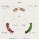 배송로 | 더페이스샵 아이크림 추천! 이마트 과천점
