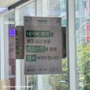 가까운이화약국 | [잎사귀치과] 사랑니 발치 5초컷 솔직후기, 진료비용 주의사항 다이소