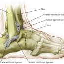 서울성모재활의학과의원 이미지