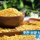 빈푸드 이미지