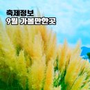 제32회 김해예술제 | 부산 9월 축제 행사 팜파스 꽃구경 가볼만한곳 모음 2025