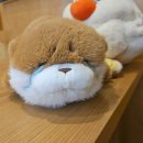 인형짱뽑고뽑기 이미지