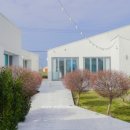 마이온홈대정 이미지