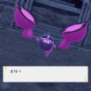 슈스토리 이미지