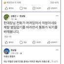 설악산 .. .사고... (북설악 신선봉) 이미지