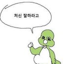 콩스 이미지