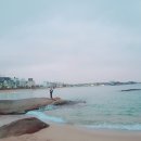 쌍둥이네활어회 이미지