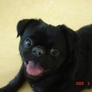 양안농장 이미지