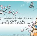 자연의소리 이미지
