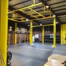 크로스핏 골드 타운 이미지