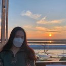 소셜써치 이미지