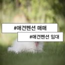 대명펜션마트 이미지