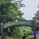 지리산이 품은 <b>명품</b> 힐링 탐방로 특별산행 "대원사 계곡...