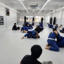 팀옥토퍼스