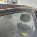 스팀코리아 이미지