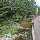 맨션531펜션 이미지