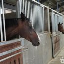 The꿈나무어린이집 이미지