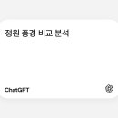 축경미학 예술론 이미지