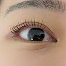 세니브로우 | 목동속눈썹펌 맛집 당일예약가능 세니브로우 후기
