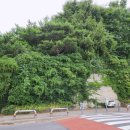 제1공단근린공원공영주차장 이미지