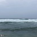 강정동-16 네이버블로그