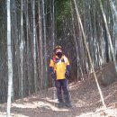 옥종불소유황천 이미지