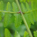 산장여관 | 젊은 그때를 그리는 추억 여행