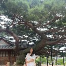 한수약품(주) | [서울 - 종로] 서울 전시회 추천!! 흥성대원군 별채 구경을 위한 석파정 서울미술관 나들이