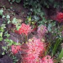 골드원호텔 이미지