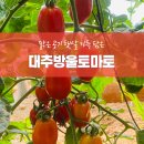 크고 단단한 맛있는 식감의 대추방울토마토 팝니다~! 이미지