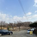 수산동 분위기 좋은 카페 온더그린 방문 후기