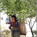 송정2리 이미지