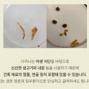 대구축협사료공장 | 아카나 고양이 사료 추천 그래스랜드 후기 고단백 오리닭 기호성 분석