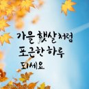 장날 이미지