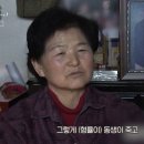 집이곡지 이미지