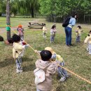 홀츠하임어린이집 이미지